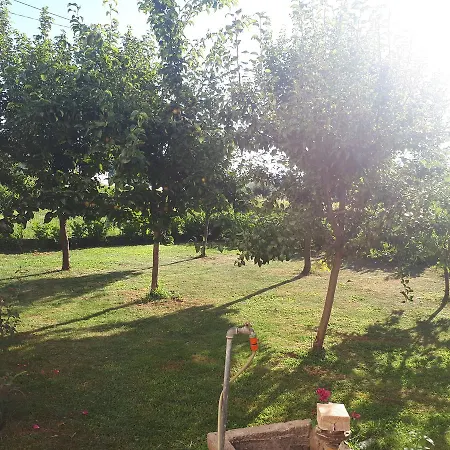 Sunny House Apartament *
