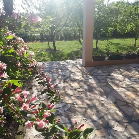 Sunny House Apartament