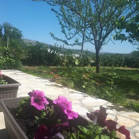Sunny House *