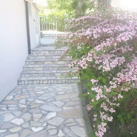 Apartament Sunny House *