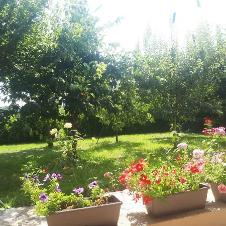 Apartament Sunny House *